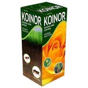 KOINOR
