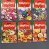 Six pack of various Mayford flower seeds against a black background.