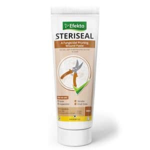 STERISEAL100ML