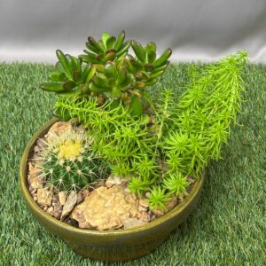 GLAZED POTTED SUCCULENT BOWL 22CM