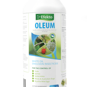 EFEKTO OLEUM 500ML