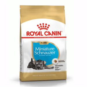 SCHNAUZER PUPPY 1.5KG