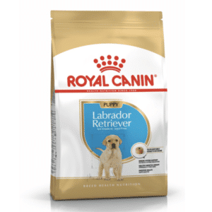 LABRADOR PUPPY 12KG