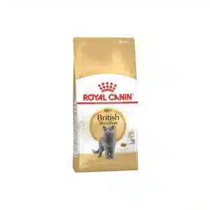 BRITISH SHORTHAIR CAT 4KG